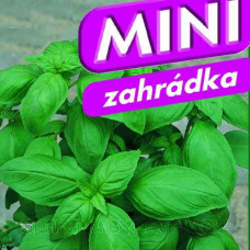 Bazalka pravá MAMMOLO GENOVESE